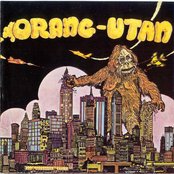 Orang-utan - List pictures