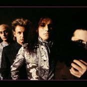 Dead Or Alive - List pictures