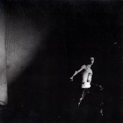 Dive - List pictures