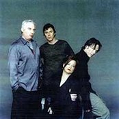 The Toadies - List pictures