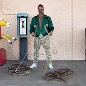 Shabazz Palaces - List pictures
