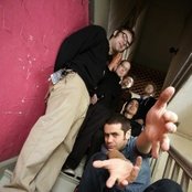 Mustard Plug - List pictures