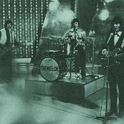 The Tremoloes - List pictures