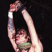 Dogs Damour - List pictures