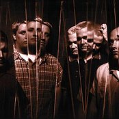 Stavesacre - List pictures