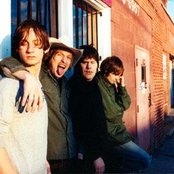 Division Of Laura Lee - List pictures