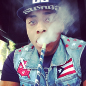 Sultan - List pictures