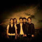 The Stills - List pictures