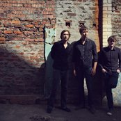 The Swifts - List pictures