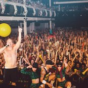 Major Lazer - List pictures