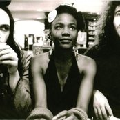 Noisettes - List pictures