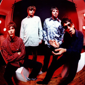 Shed Seven - List pictures