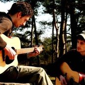 Tangarine - List pictures