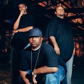 Little Brother - List pictures