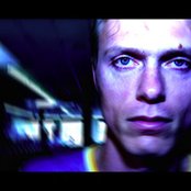 Black Lab - List pictures