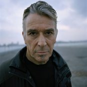 John Cale - List pictures
