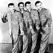 The Pastels - List pictures