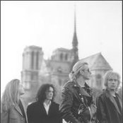 It Bites - List pictures