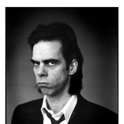 Nick Cave - List pictures