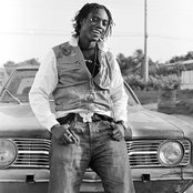 Kiprich - List pictures