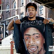 Young Gully - List pictures