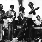 Howlin' Wolf - List pictures