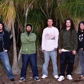 Soldiers Of Jah Army - List pictures