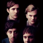 Grizzly Bear - List pictures