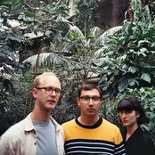 Virginia Wing - List pictures