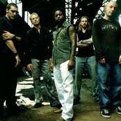 Sevendust - List pictures