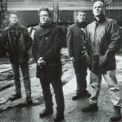 Pernice Brothers - List pictures