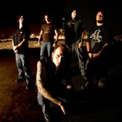 Soil - List pictures