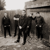 Street Dogs - List pictures