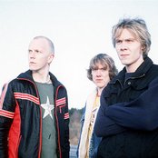 Apulanta - List pictures