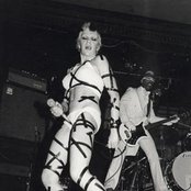 Wendy O. Williams - List pictures