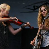 Court Yard Hounds - List pictures