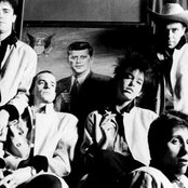 Pogues - List pictures