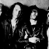 Lard - List pictures