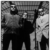 Doves - List pictures