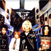 Penicillin - List pictures