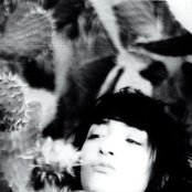 Hindi Zahra - List pictures