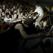 Title Fight - List pictures