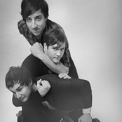 Grizzly Bear - List pictures