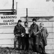 Sham 69 - List pictures