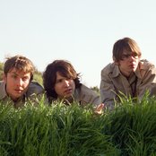 The Young Veins - List pictures