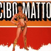 Cibo Matto - List pictures