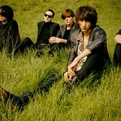 The Horrors - List pictures