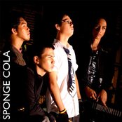Spongecola - List pictures