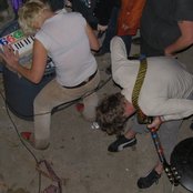 Coachwhips - List pictures