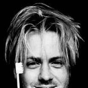 Baby Bird - List pictures